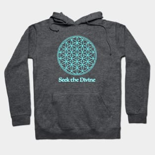 Seek the Divine Hoodie